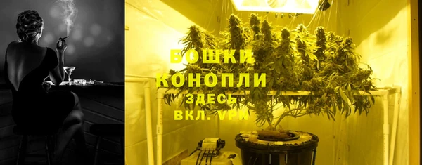 ГАЛЛЮЦИНОГЕННЫЕ ГРИБЫ Арсеньев