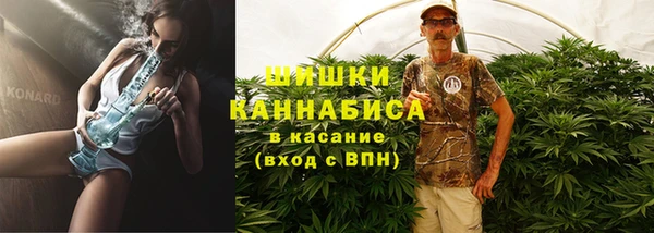 дживик Семилуки