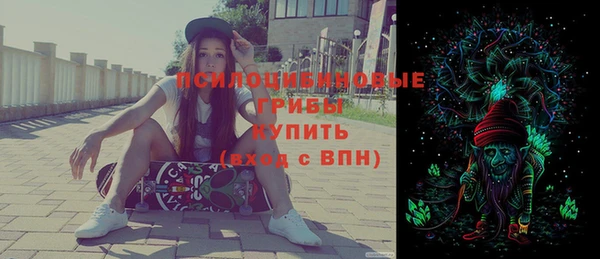 кокс Алексин