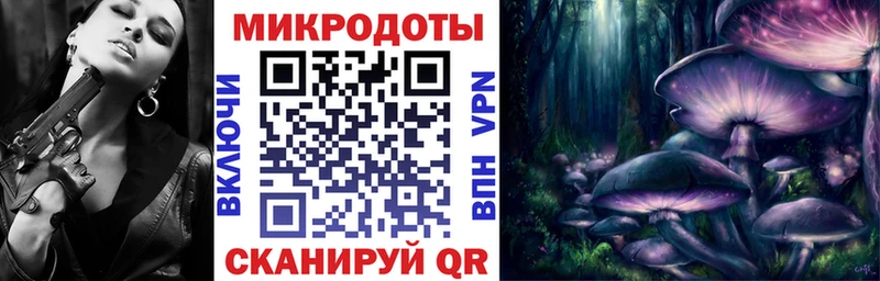 Псилоцибиновые грибы мицелий где купить наркоту маркетплейс официальный сайт Дальнереченск