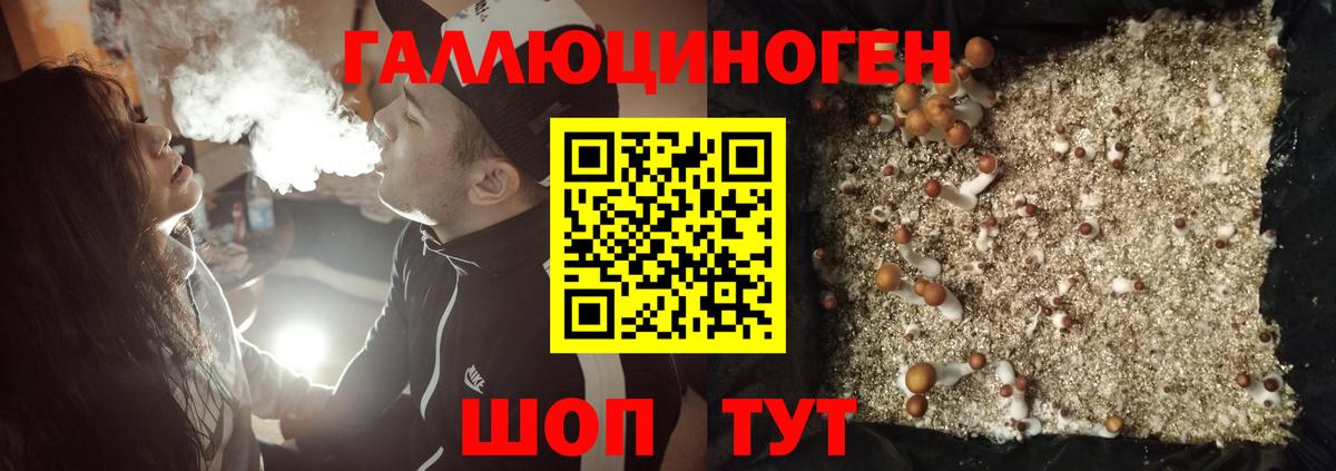 Галлюциногенные грибы Psilocybine cubensis Дальнереченск
