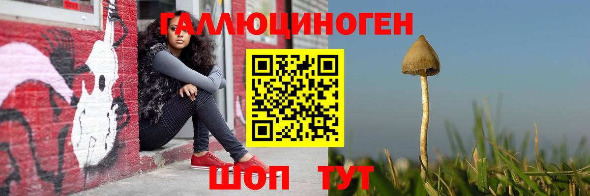 Псилоцибиновые грибы мухоморы  Галлюциногенные грибы MAGIC MUSHROOMS  Дальнереченск  Вход с VPN 