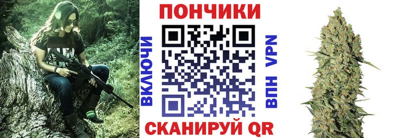 где можно купить наркотик  MEGA вход  Бошки Шишки THC 21%  Дальнереченск 