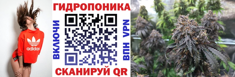 Бошки марихуана Amnesia Дальнереченск